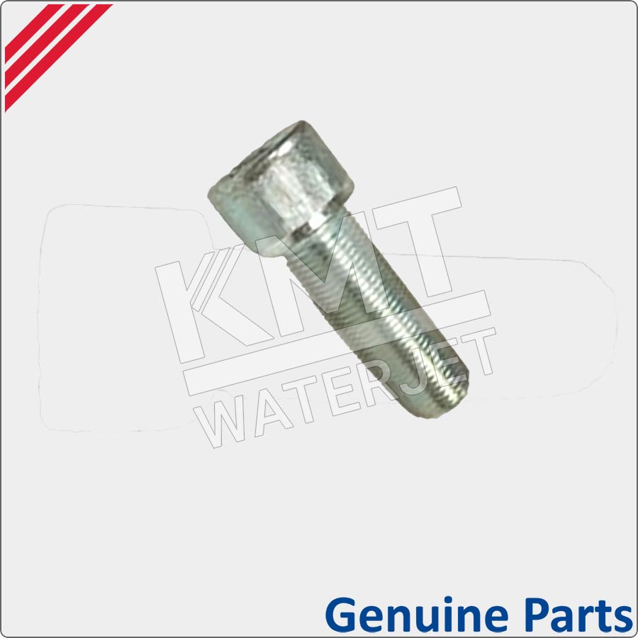 Screw, Socket Head Cap, 3/4 OD x 2 1/4 long