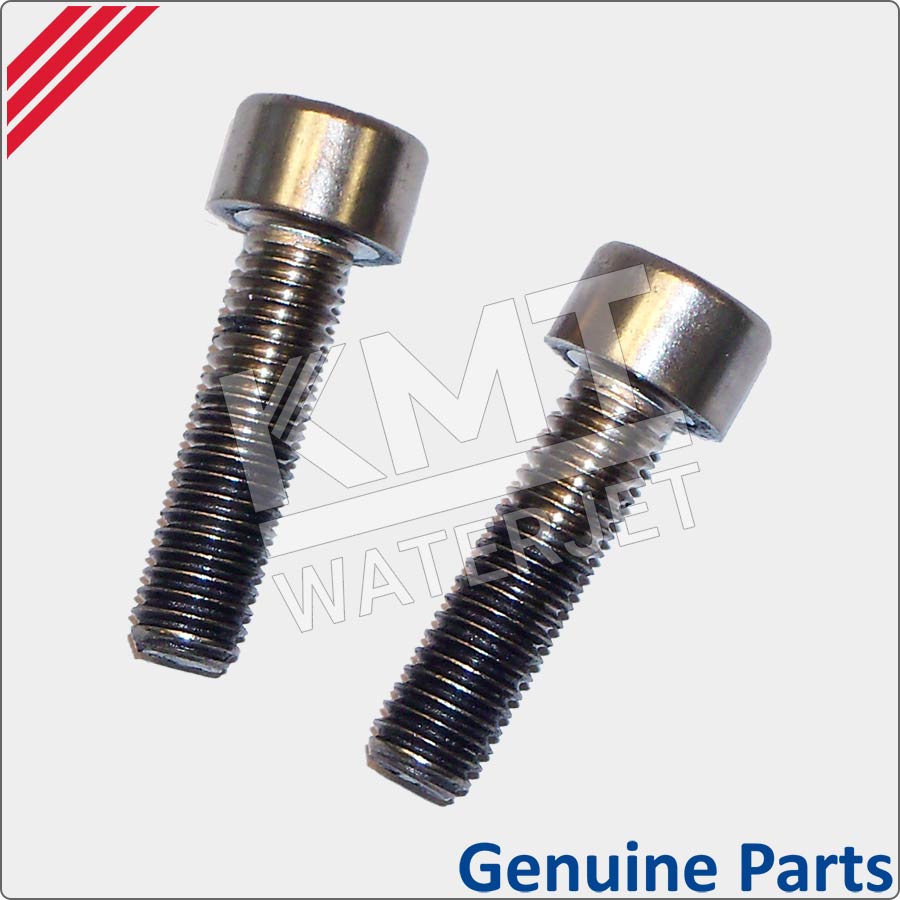Screw, Socket Head Cap, M6 X 22mm Long